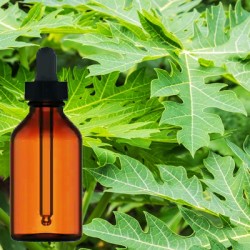 Papaya Leaves Tincture