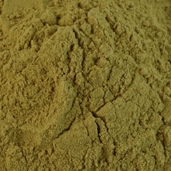 Cucumber Peel P.E 10.1