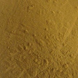 Echinacea Purpurea S.E 4percent