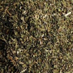 GRAVIOLA LEAVES - SOURSOP C/S