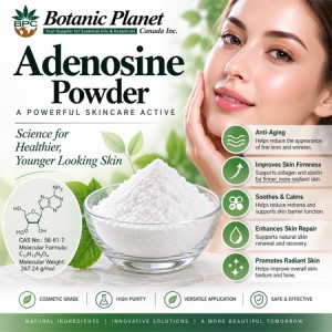 Adenosine Powder Cosmetic Grade