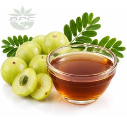 Amla Liquid Extract Cosmetic Grade