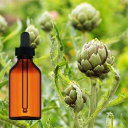 Artichoke Leaves Tincture 