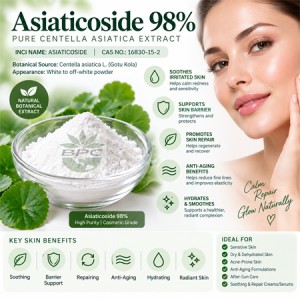 Asiaticoside 98% Powder
