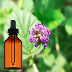 Babchi Psorelia Cordifolia Tincture