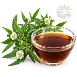 Bhringraj Liquid Extract Cosmetic Grade