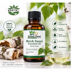 Birch Sweet Essential Oil