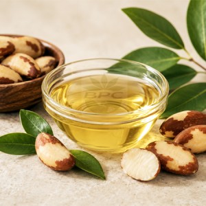 Brazil Nut Oil Virgin Organic