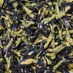 BUTTERFLY PEA FLOWER