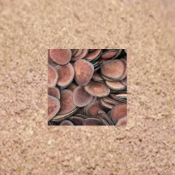 Deer Antler Velvet Powder