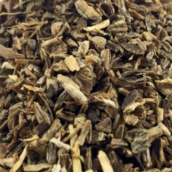ECHINACEA PALLIDA ROOT CUT & SIFTED