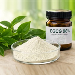 EGCG Powder 98%