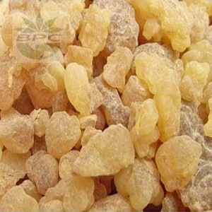 Frankincense (Olibanum) Absolute Oil