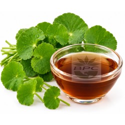 Gotu Kola Liquid Extract Cosmetic Grade