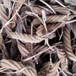 East Indian Screw Tree (MAROR PHALI) Powder