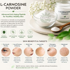 L-Carnosine Powder