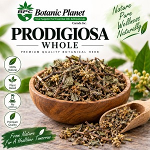 Prodigiosa Herb Whole