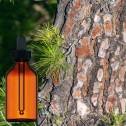 Pine Bark Tincture