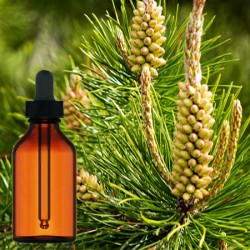 Pine Pollan Tincture