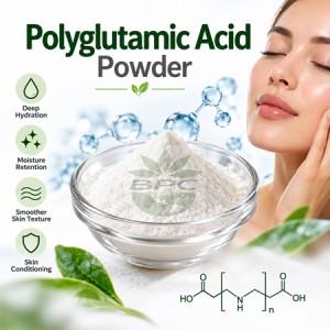 Polyglutamic Acid Powder
