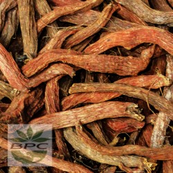 RED SAGE ROOT