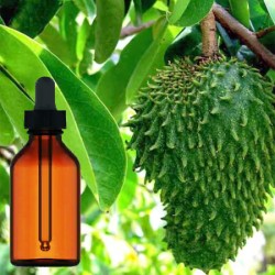 Soursop (Graviola) Tincture