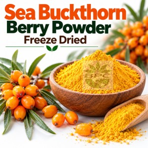Sea Buckthorn Berry Powder Freeze Dried