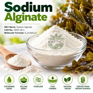 Sodium Alginate Powder