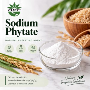 Sodium Phytate Powder