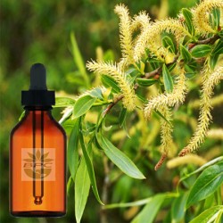 White Willow Bark Tincture