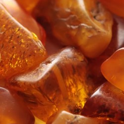 Amber Absolute Oil Brown