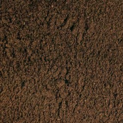 BABCHI PSORALEA SEED POWDER