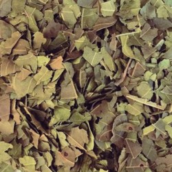 Mango Leaves Cut & Sifted