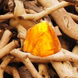 Amber Sandalwood Fragrance Oil
