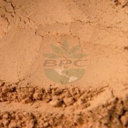 Sarsparilla Root Powder Extract 4.1