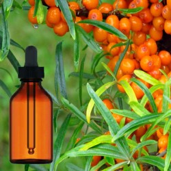 Sea Buckthorn Tincture Organic