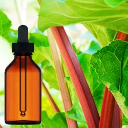 Rhubarb Root Tincture