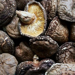 SHITAKE MUSHROOMS WHOLE
