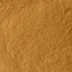 Astragulus Root P.E. 4:1