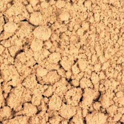 ANGELICA ROOT POWDER