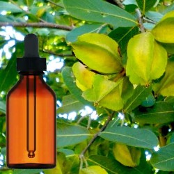 Arjuna Bark Liquid Extract