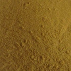 Black Cohosh Root P.E.4:1