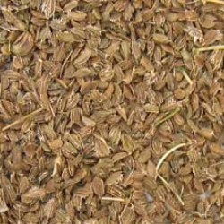 H2O Carrot Seed  Essential Oil 