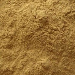 Fennel Seed P.E. 4:1