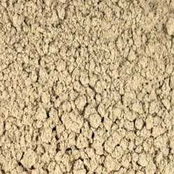 ECHINACEA PURPUREA ROOT POWDER