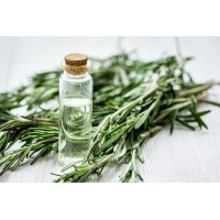 How To Rejuvenate With Rosemary Essential Oil?