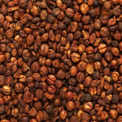 Malkangni Seeds