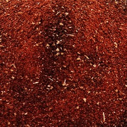 Pipal Lakh Powder Pipal Lakh Powder