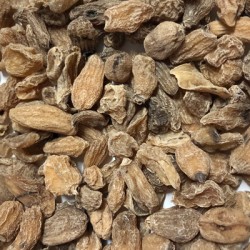 Salab Misri (Orchis mascula)