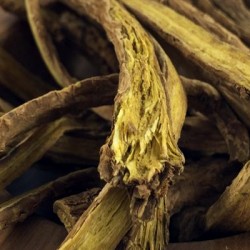 SKULLCAP ROOT (CHINESE) 